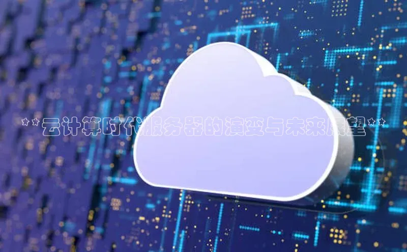 28圈.ccmpc正版彩讯股份**云计算时代服务器的演变与未来展望**