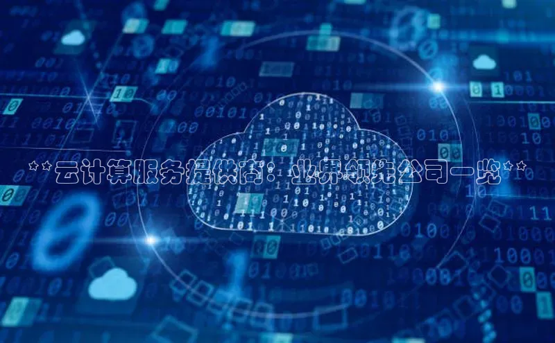 pc28圈下载路畅科技**云计算服务提供商：业界领先公司一览**