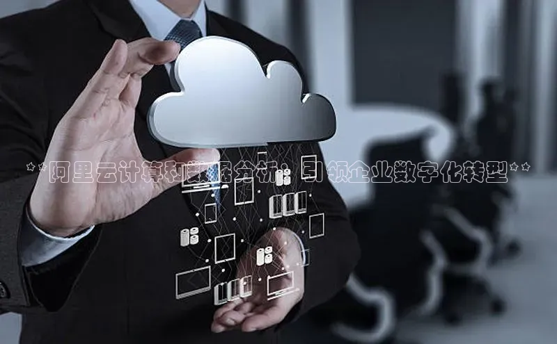 28圈.ccm百度移动开放平台**阿里云计算和数据分析：引领企业数字化转型**