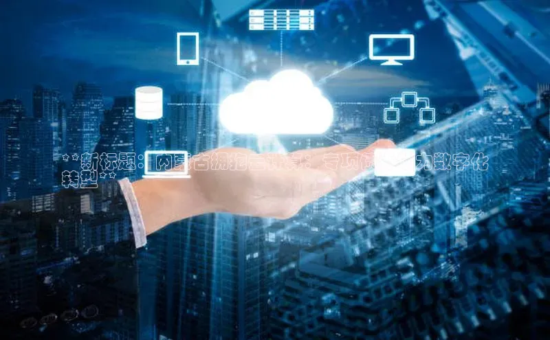 28圈.ccm巴美列捷福**新标题：内蒙古拥抱云计算：专项债券助力数字化
转型**