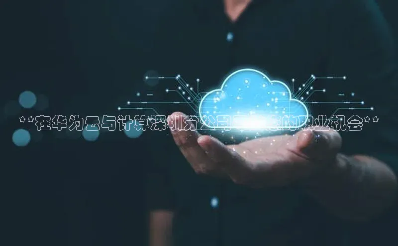 加拿大28开奖结果预测官网阿里尔公司**在华为云与计算深圳分公司寻找您的职业机会**