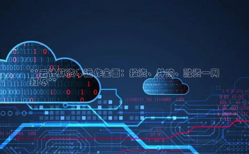 加拿大28开奖结果预测官网阿里尔公司**云计算资本运作全面：投资、并购、融资一网
打尽**
