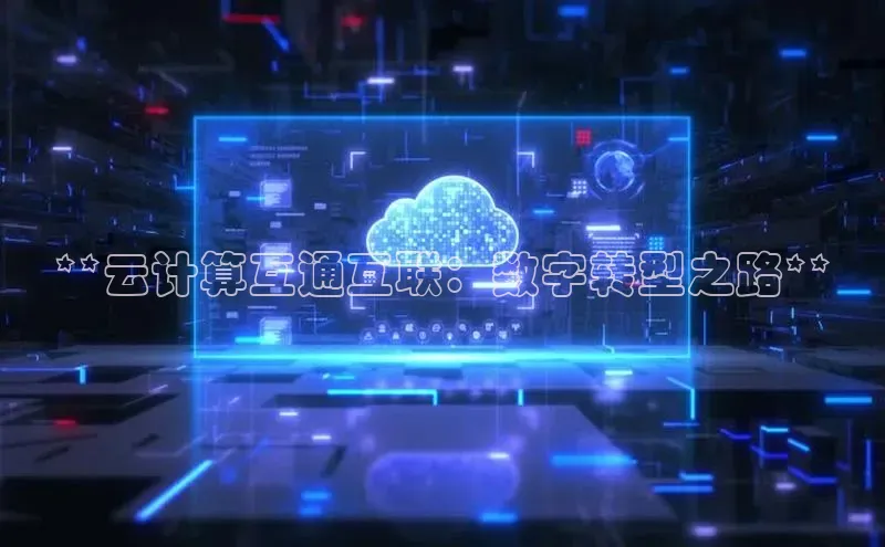 28圈平台链接观星盘**云计算互通互联：数字转型之路**