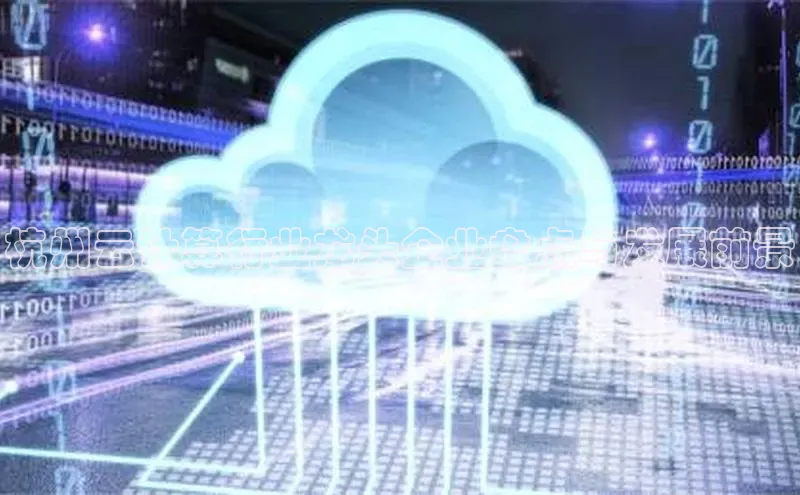 加拿大28开奖结果预测官网百度游戏杭州云计算行业龙头企业盘点与发展前景