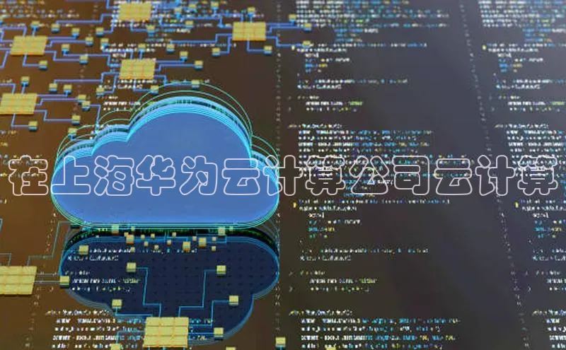 28电子游戏官方网站小度商城在上海华为云计算公司云计算
