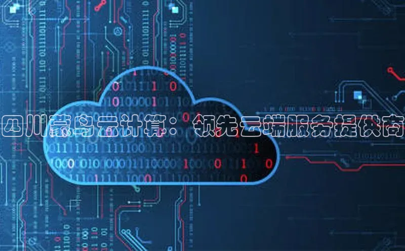 加拿大预测28在线预测官网ARGA公司四川蒙鸟云计算：领先云端服务提供商