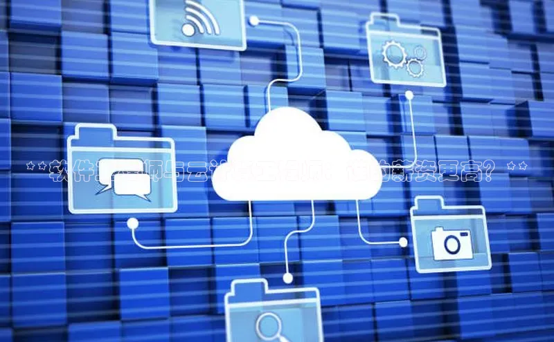 pc28圈下载路畅科技**软件工程师与云计算工程师：谁的薪资更高？**