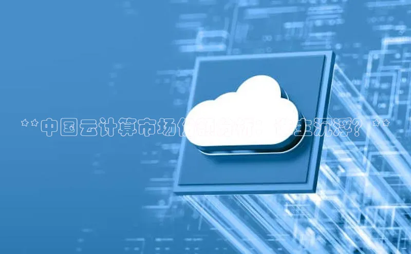 28圈平台链接观星盘**中国云计算市场份额分析：谁主沉浮？**