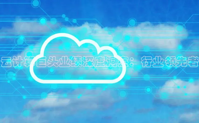 加拿大28预测开奖官网咪牌58同城云计算巨头业绩深度洞察：行业领先者