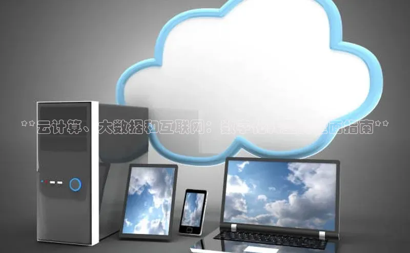 28圈.ccmpc百度手机助手**云计算、大数据和互联网：数字化转型的全面指南**