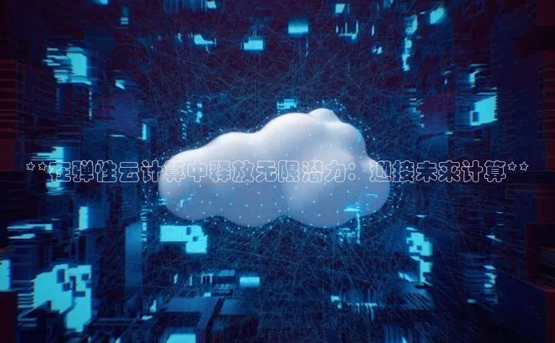 28圈.ccmpc正版度小满理财**在弹性云计算中释放无限潜力：迎接未来计算**