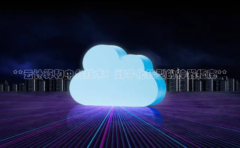 28圈.ccmpc百度Apollo**云计算和中台技术：数字化转型的神器指南**