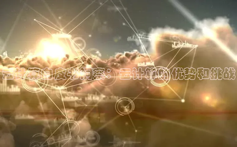 28圈电子游戏汉得信息云计算白皮书洞察：云计算的优势和挑战