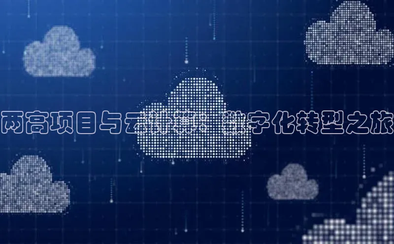 28电子游戏官方网站小度商城两高项目与云计算：数字化转型之旅