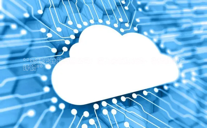 28圈.ccmpc29官网版下载云创智行**瓴码云计算有限公司：深入分析其优势、劣势和客户
评价**