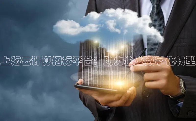 28电子游戏官方网站极氪智能科技上海云计算招标平台：助力企业数字化转型