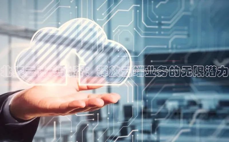 加拿大2.8平台下载诸葛科技北森云计算运营：释放云端业务的无限潜力