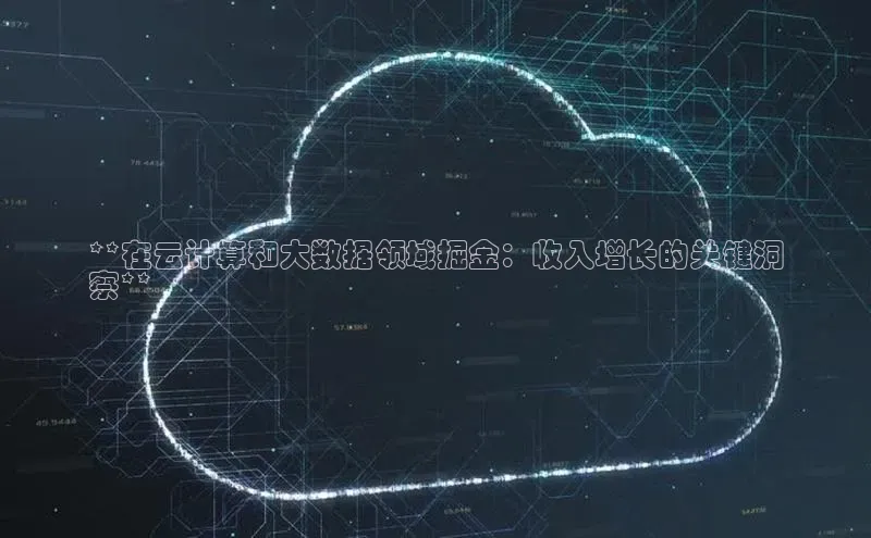 28圈电子游戏汉得信息**在云计算和大数据领域掘金：收入增长的关键洞
察**