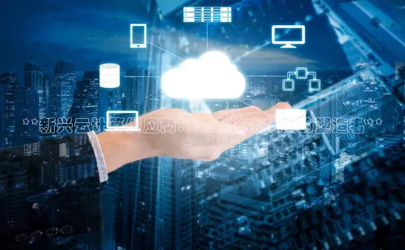 pc28加拿大官网咪牌百度智能云**新兴云计算供应商：未来技术格局的塑造者**