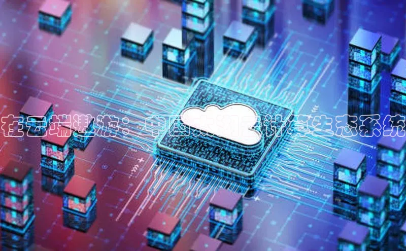 加拿大28圈预测大神普信公司在云端遨游：中国太湖云计算生态系统