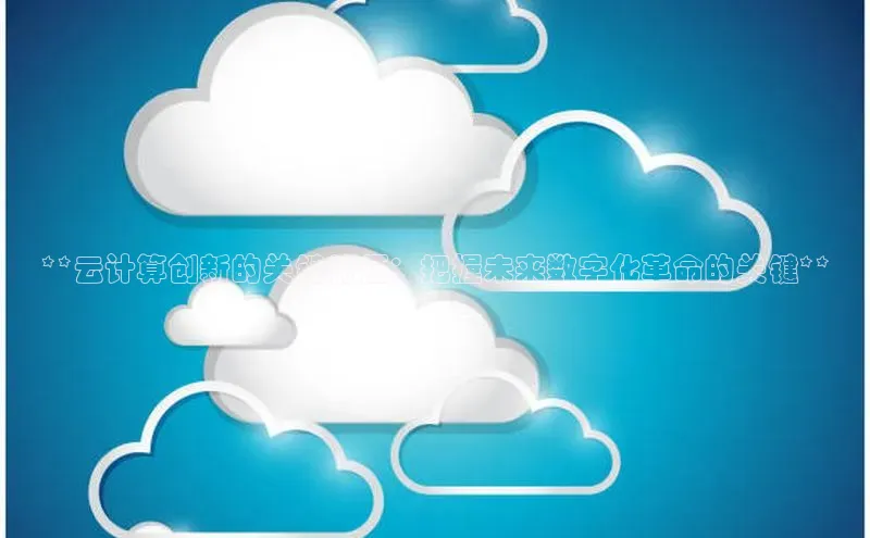 28圈.ccmpc百度手机助手**云计算创新的关键特征：把握未来数字化革命的关键**