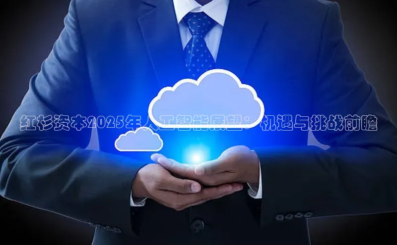 红杉资本2025年人工智能展望：机遇与挑战前瞻